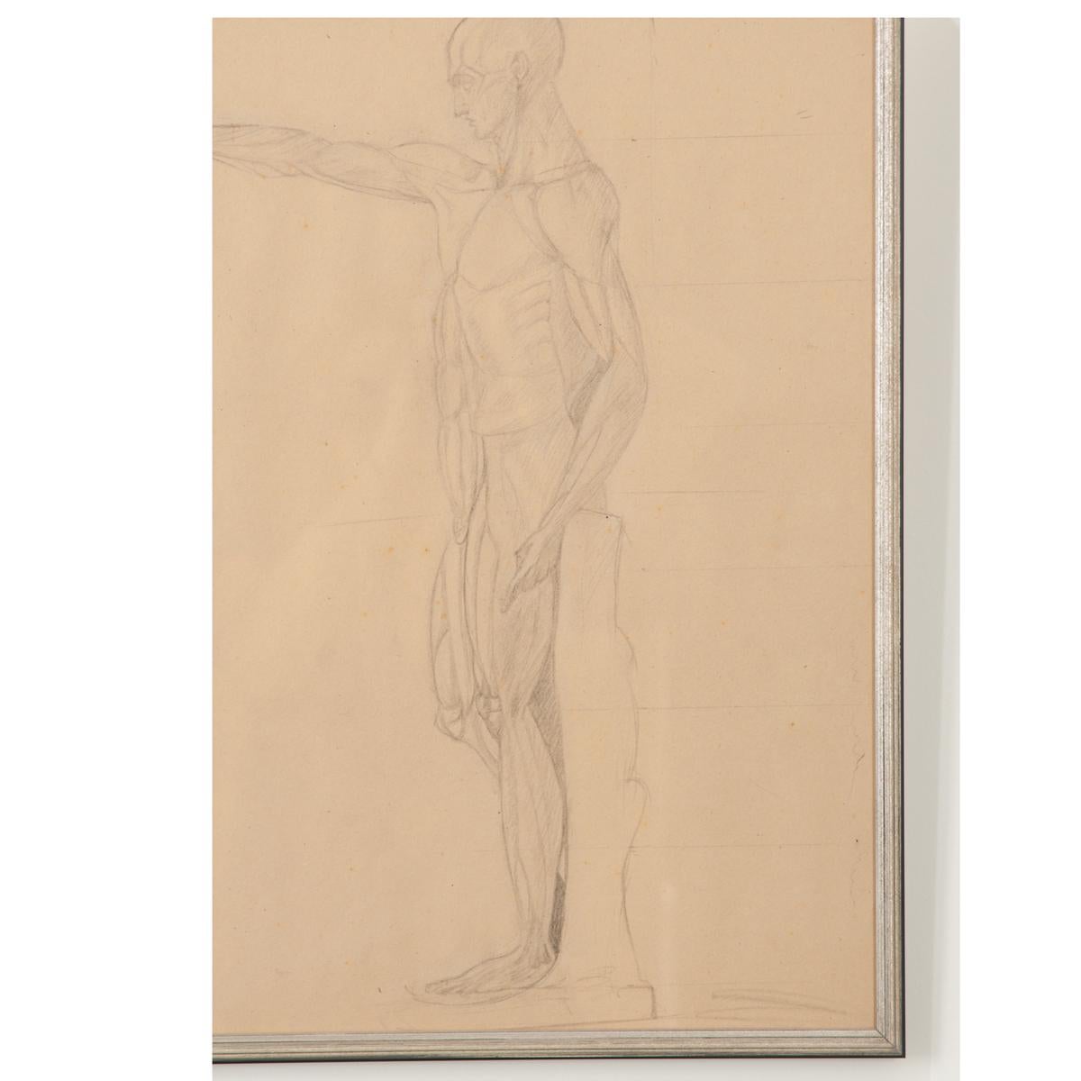 Sketch anatomique français vintage encadré Bon état - En vente à Baton Rouge, LA