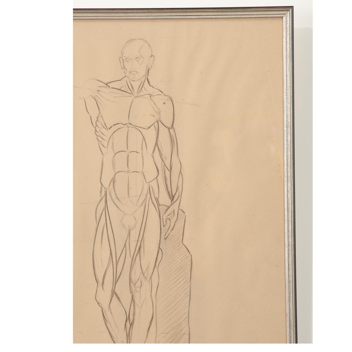 20th Century French Vintage Framed Anatomical Sketch For Sale
