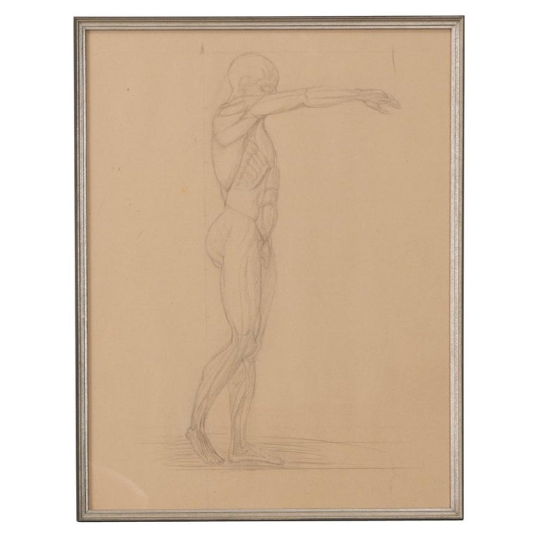 French Drawing - Figure Study