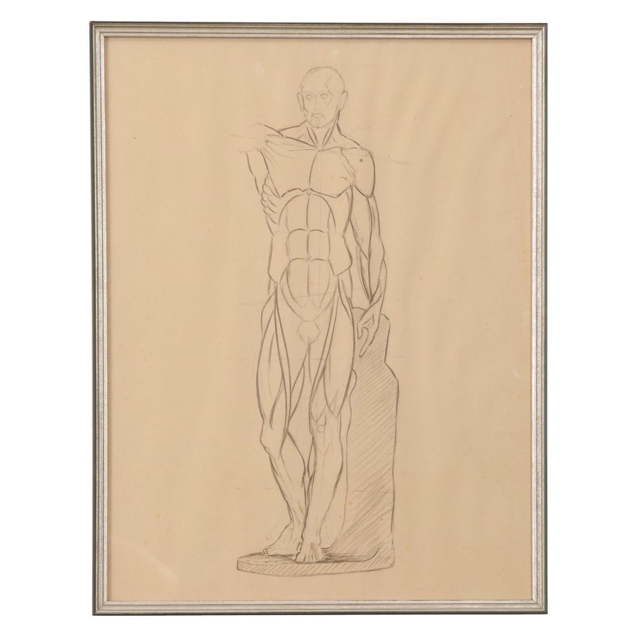 French Vintage Framed Anatomical Sketch For Sale