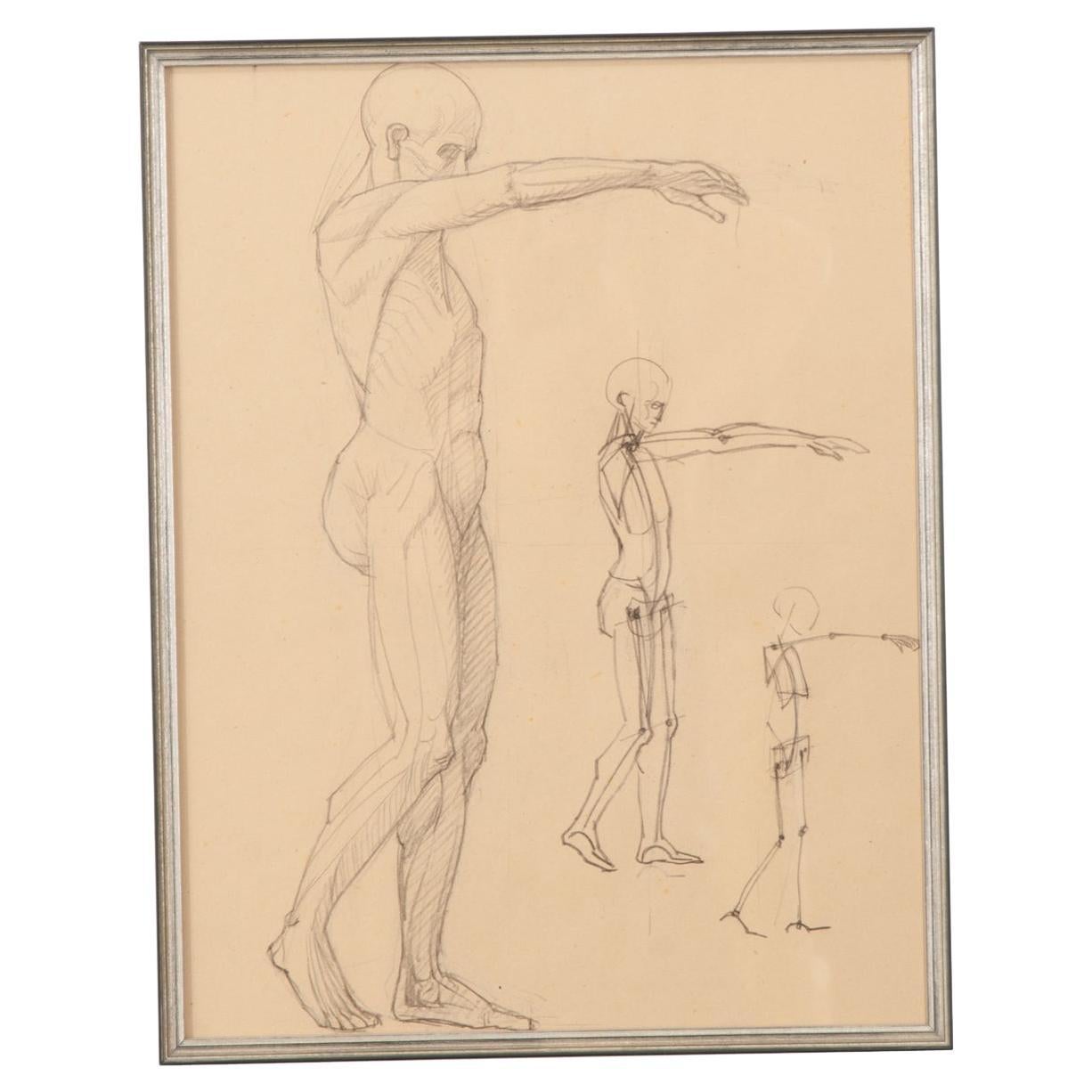 French Vintage Framed Anatomical Sketch For Sale