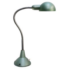 French Vintage Industrial Metal Goose neck Machinist Table Light