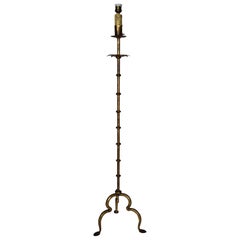 European Gilded Iron Floor Lamp