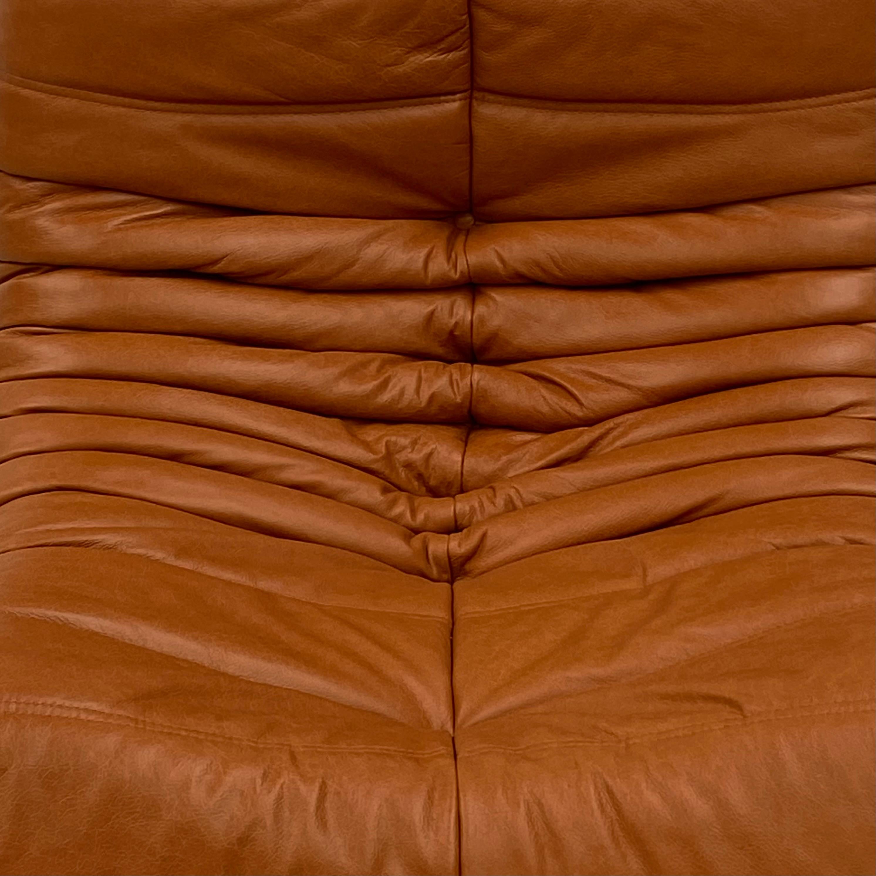 20th Century French Vintage Togo Chair in Brown Leather by Michel Ducaroy for Ligne Roset.