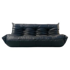 French Vintage Togo Sofa in Black Leather by Michel Ducaroy for Ligne Roset