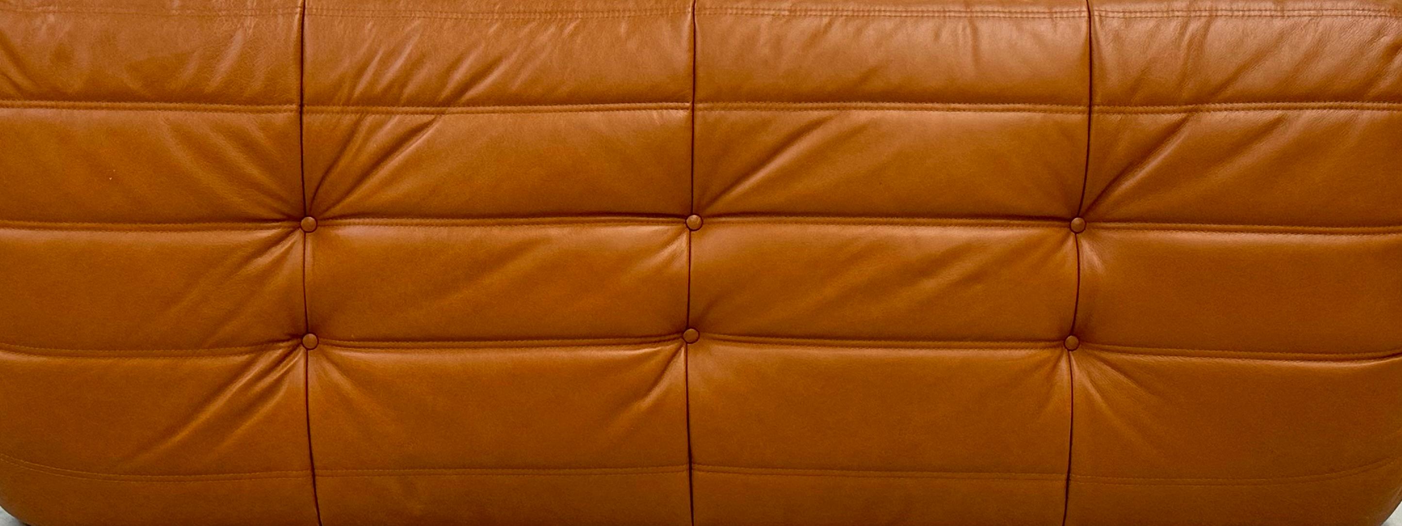 French Vintage Togo Sofa in Brown Leather by Michel Ducaroy for Ligne Roset. 1
