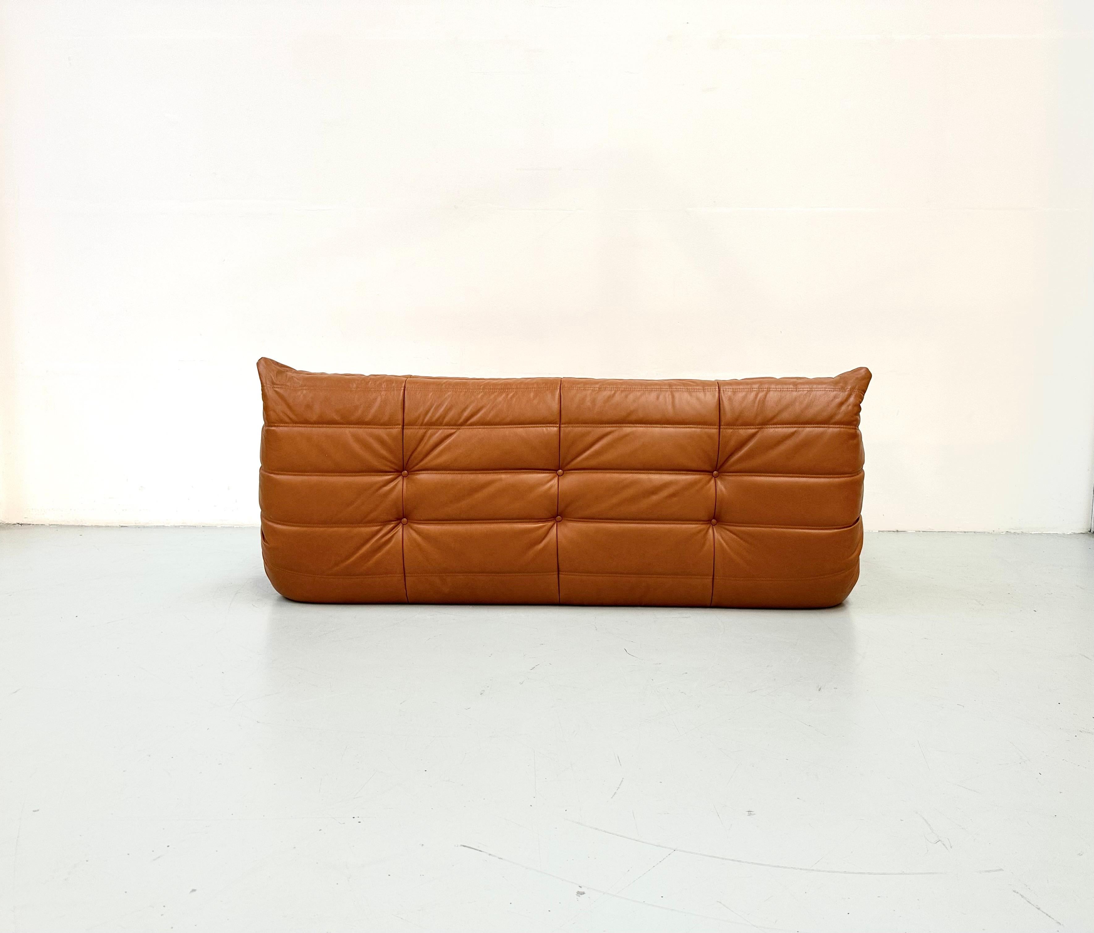 French Vintage Togo Sofa in Brown Leather by Michel Ducaroy for Ligne Roset. 2