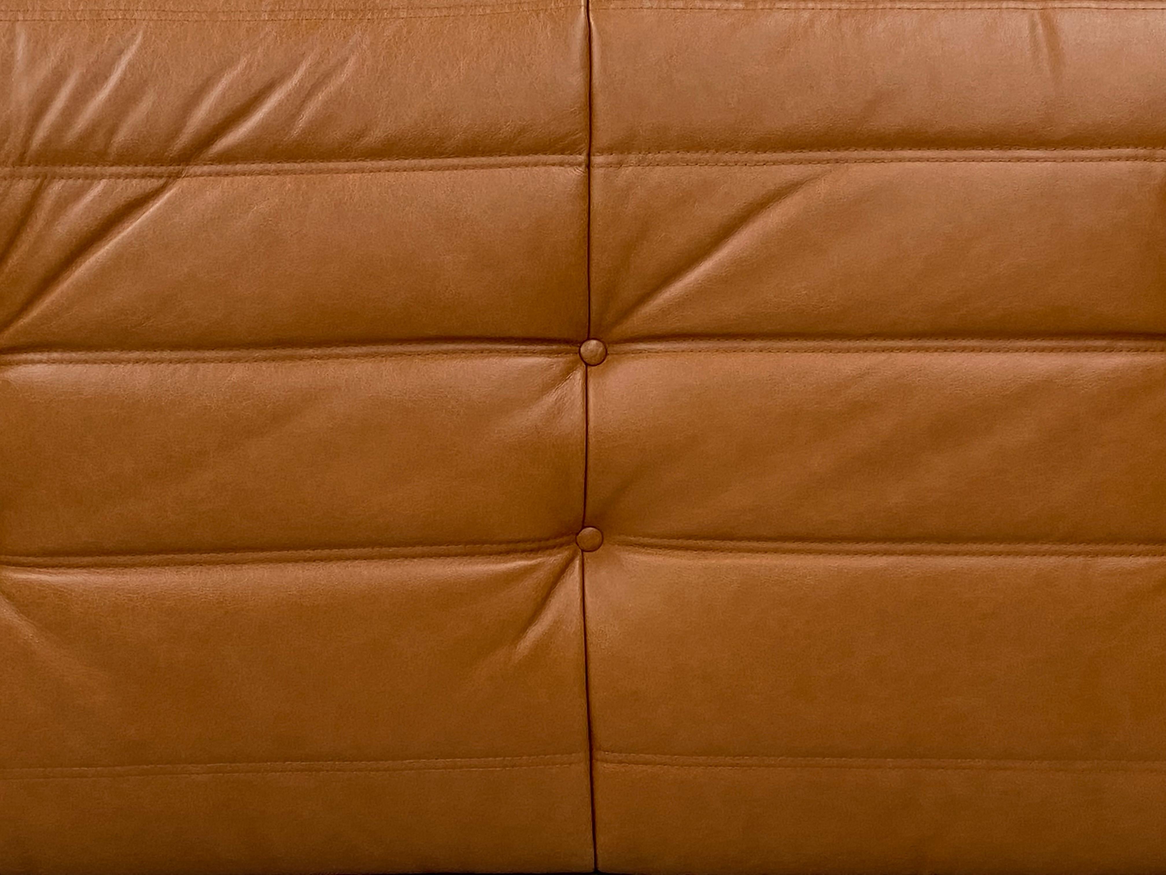 French Vintage Togo Sofa in Brown Leather by Michel Ducaroy for Ligne Roset. 1