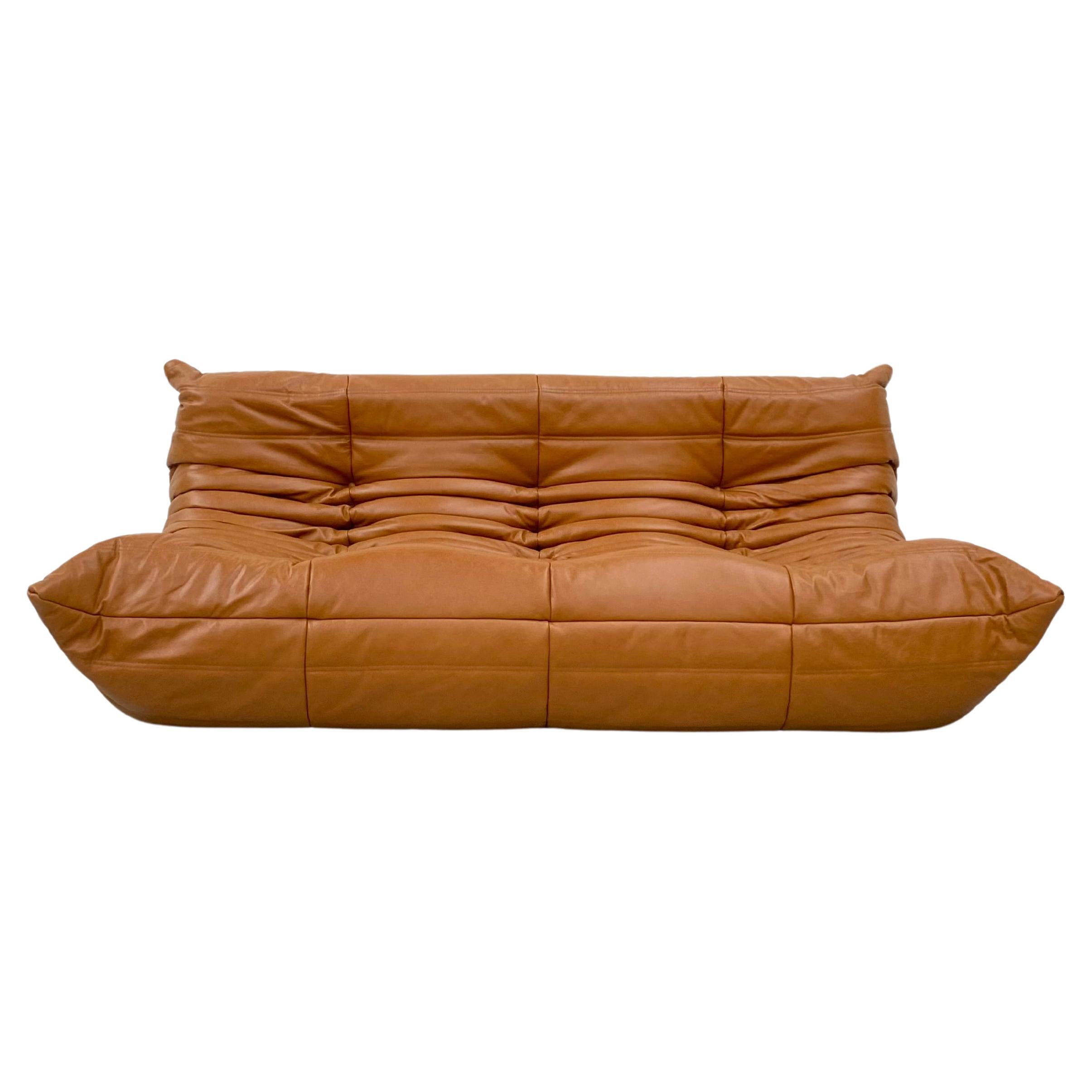 French Vintage Togo Sofa in Brown Leather by Michel Ducaroy for Ligne Roset. For Sale