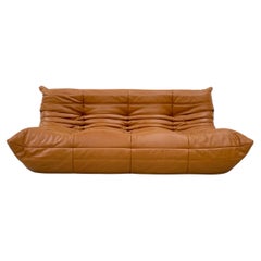 French Vintage Togo Sofa in Brown Leather by Michel Ducaroy for Ligne Roset.