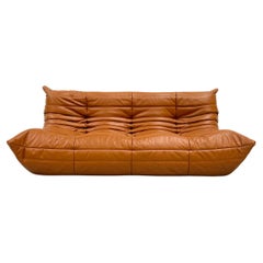 French Vintage Togo Sofa in Brown Leather by Michel Ducaroy for Ligne Roset.