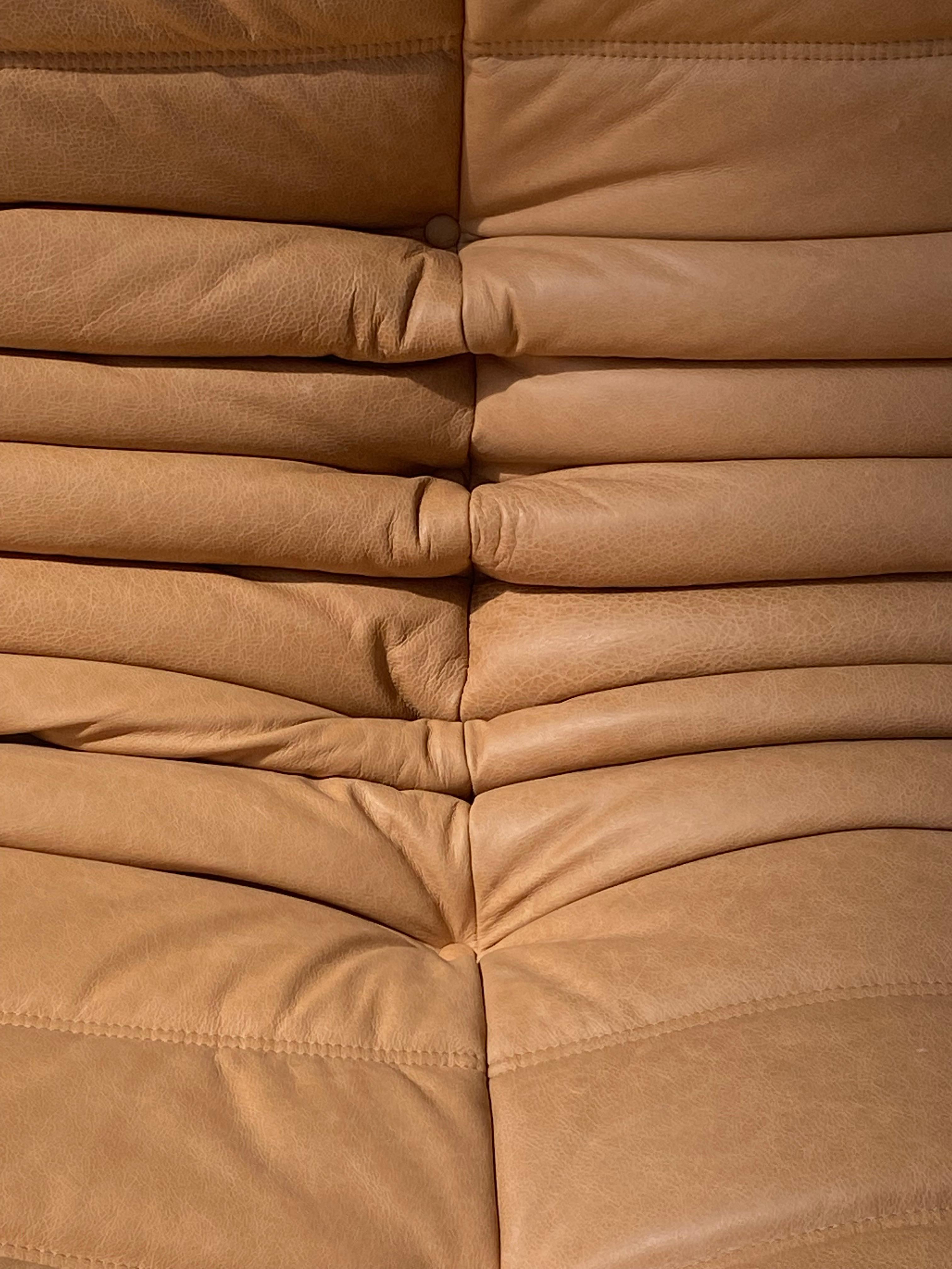 20th Century French Vintage Togo Sofa in Camel Leather by Michel Ducaroy for Ligne Roset.