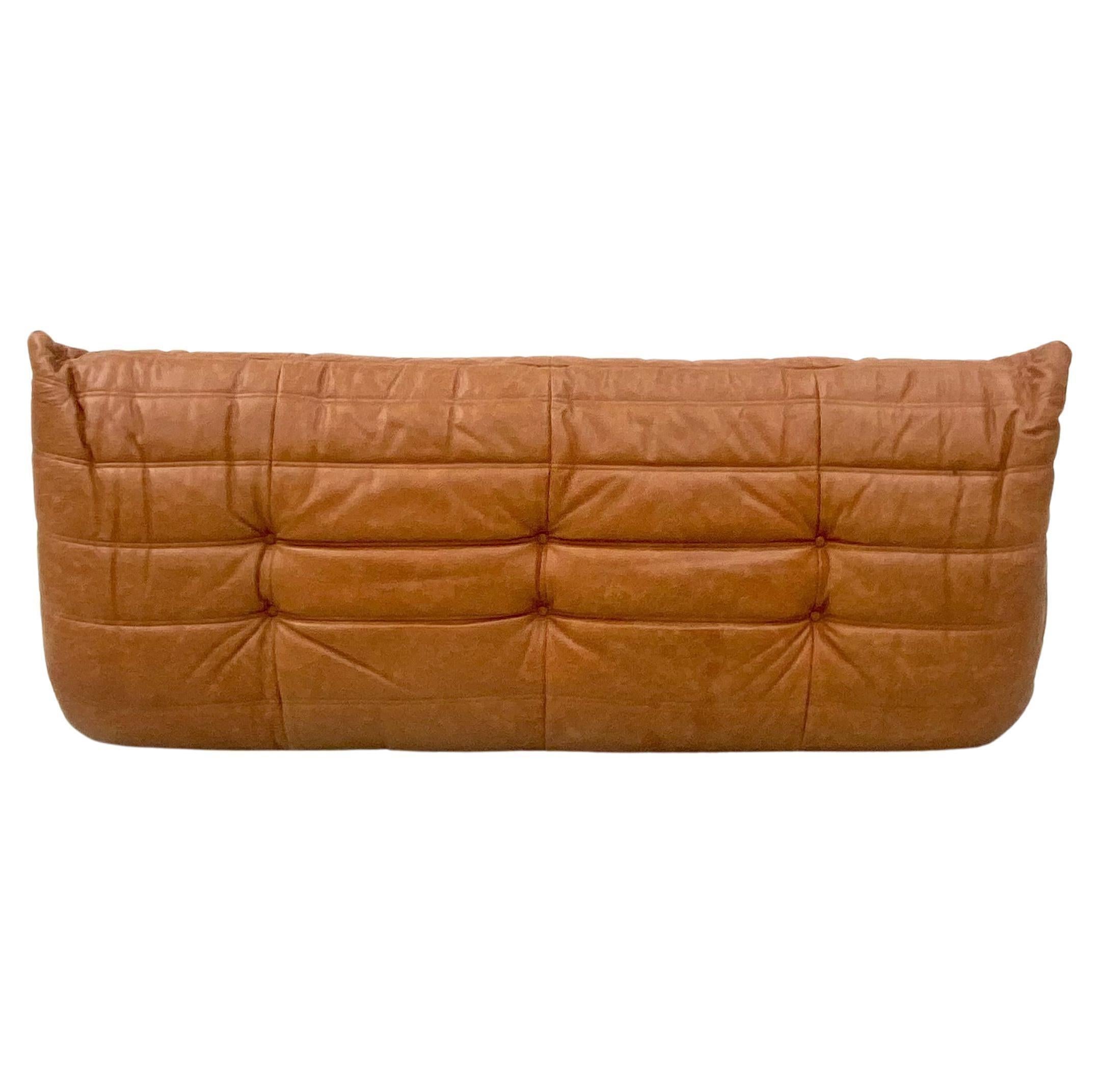 20th Century French Vintage Togo Sofa in Cognac Leather by Michel Ducaroy for Ligne Roset