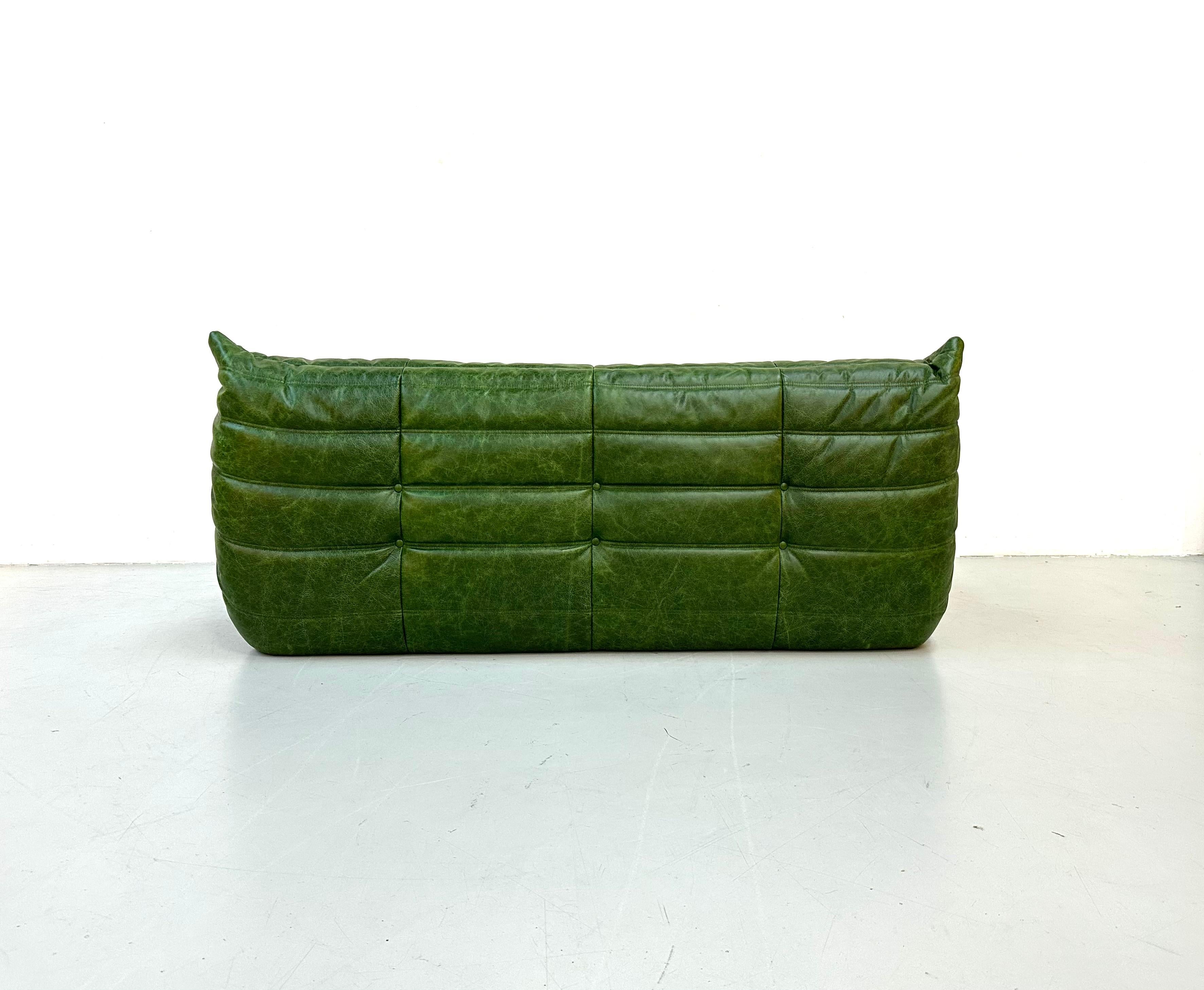 French Vintage Togo Sofa in Green  Leather by Michel Ducaroy for Ligne Roset. 6