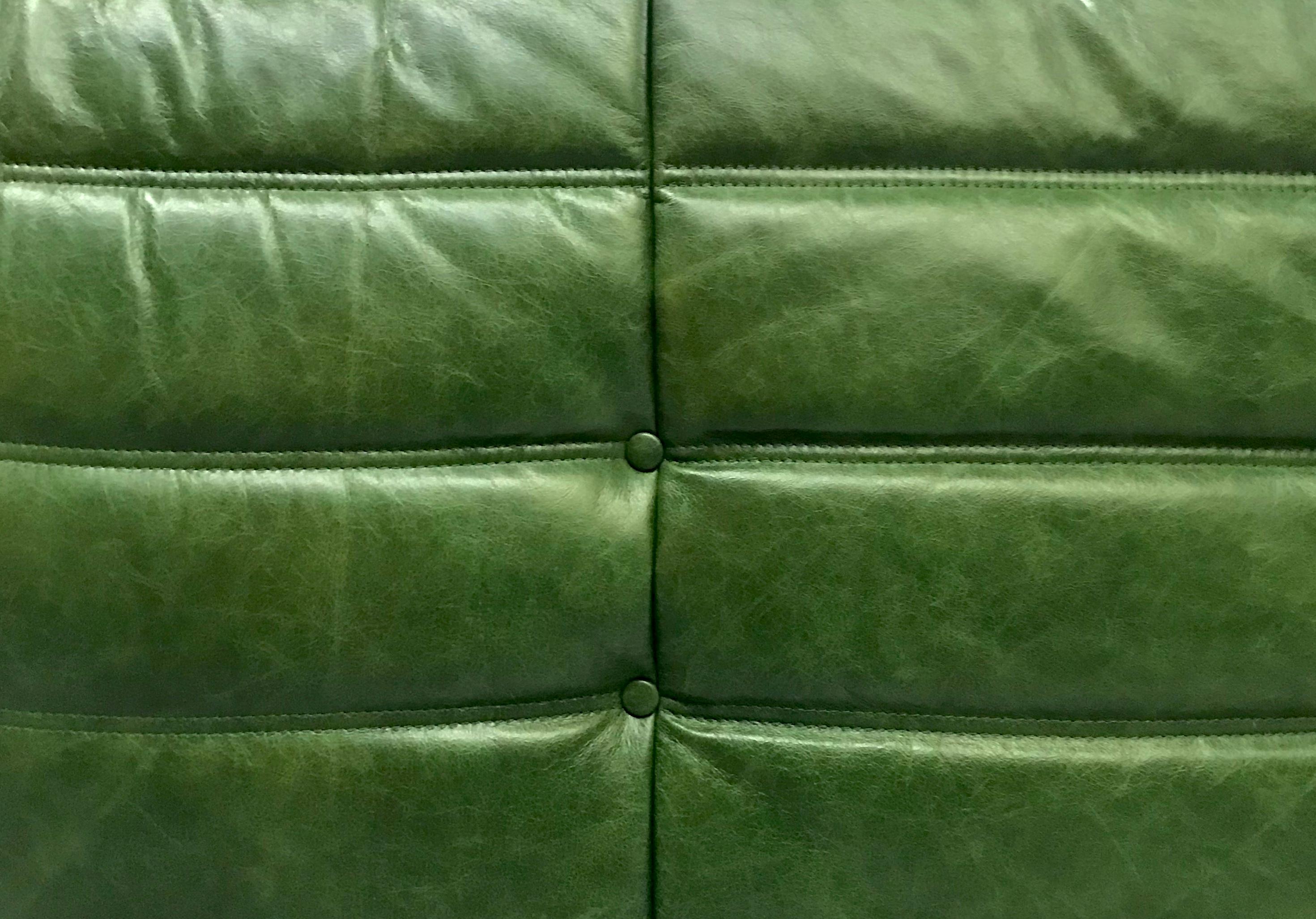 Mid-Century Modern French  Togo Sofa in Green  Leather by Michel Ducaroy for Ligne Roset. For Sale