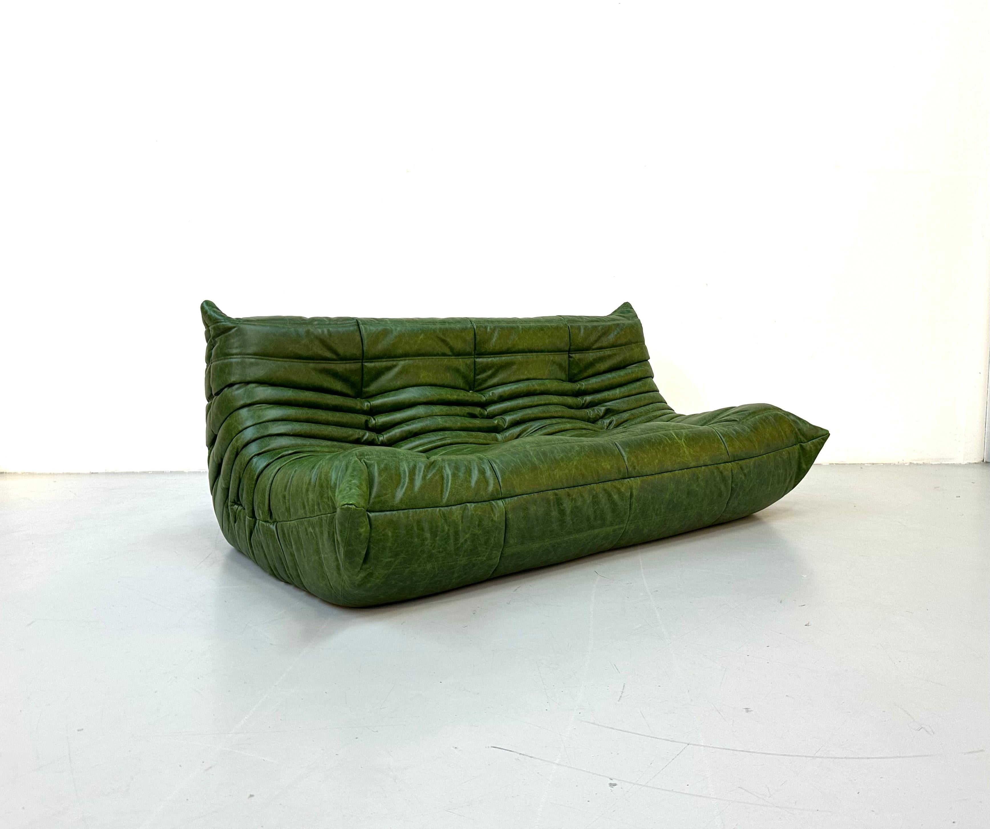 French Vintage Togo Sofa in Green  Leather by Michel Ducaroy for Ligne Roset. 1