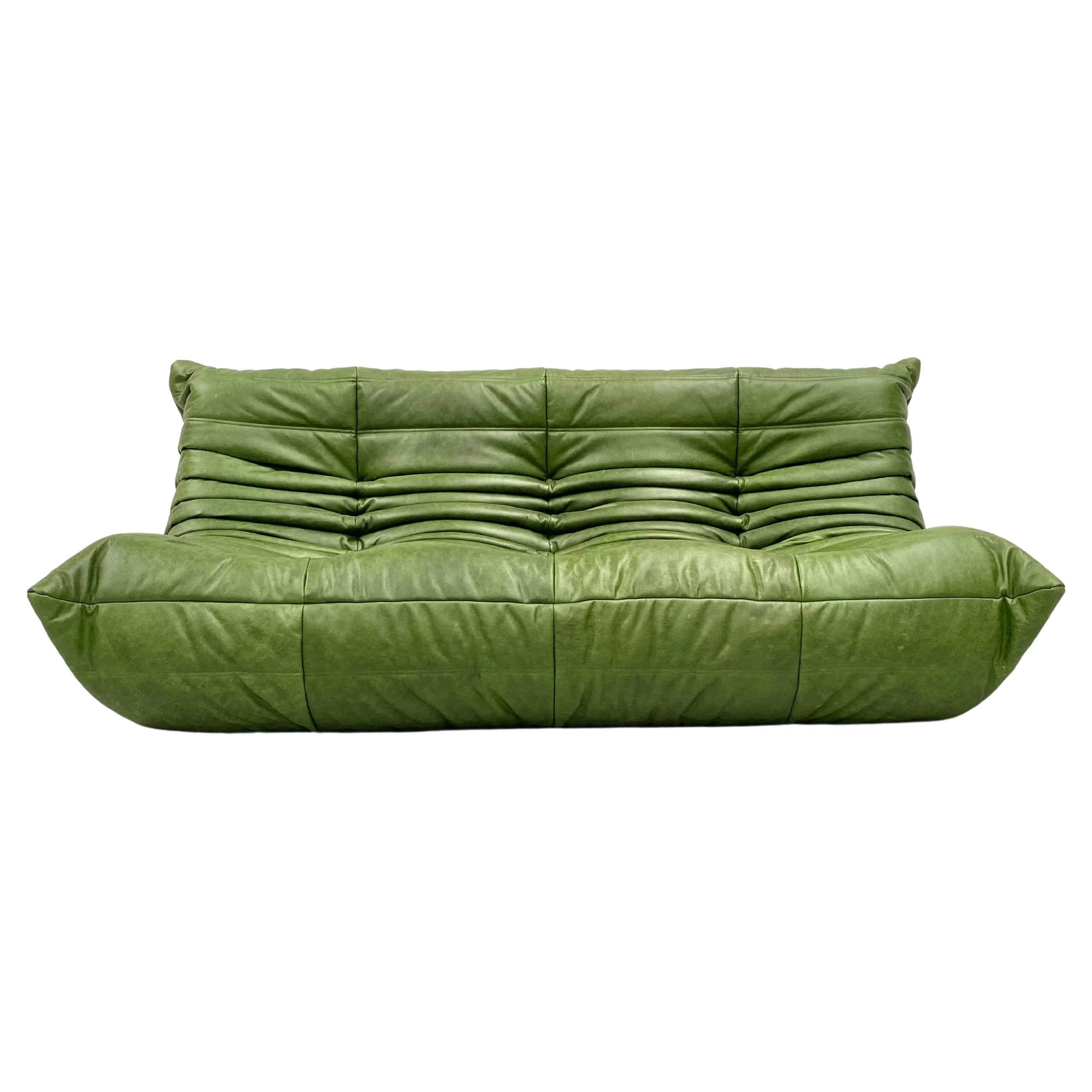 French  Togo Sofa in Green  Leather by Michel Ducaroy for Ligne Roset. For Sale
