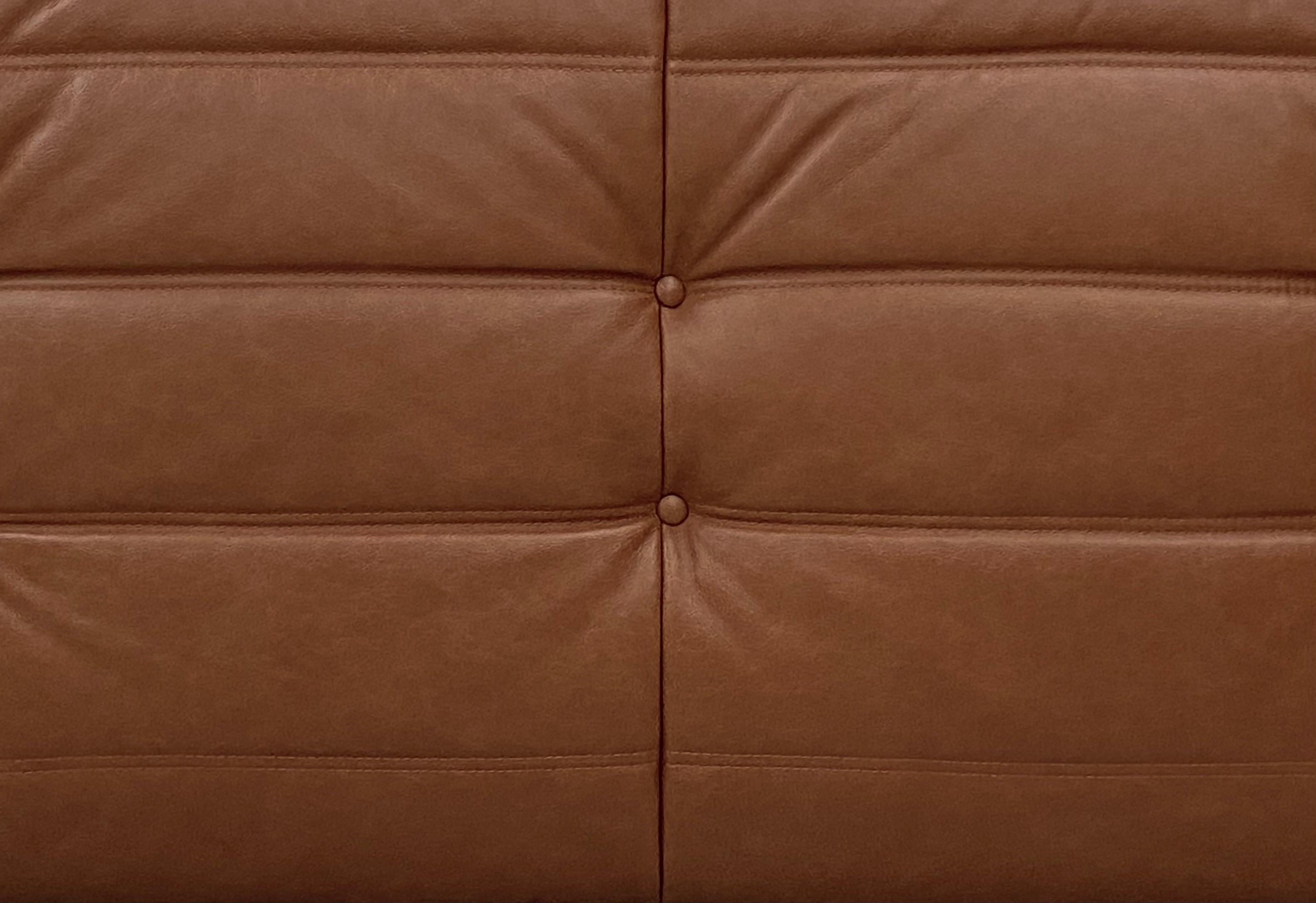 20th Century French Vintage Togo Sofa in Mid Brown Leather by Michel Ducaroy for Ligne Roset. For Sale