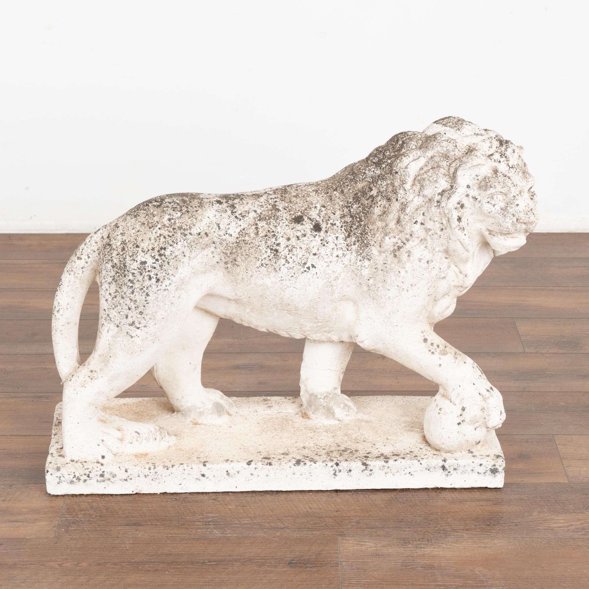 French Walking Lion Garden Statue, circa 1920-40 In Good Condition For Sale In Round Top, TX