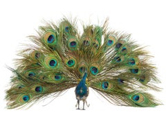 French Walking Peacock Automaton