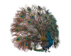 French Walking Peacock Automaton