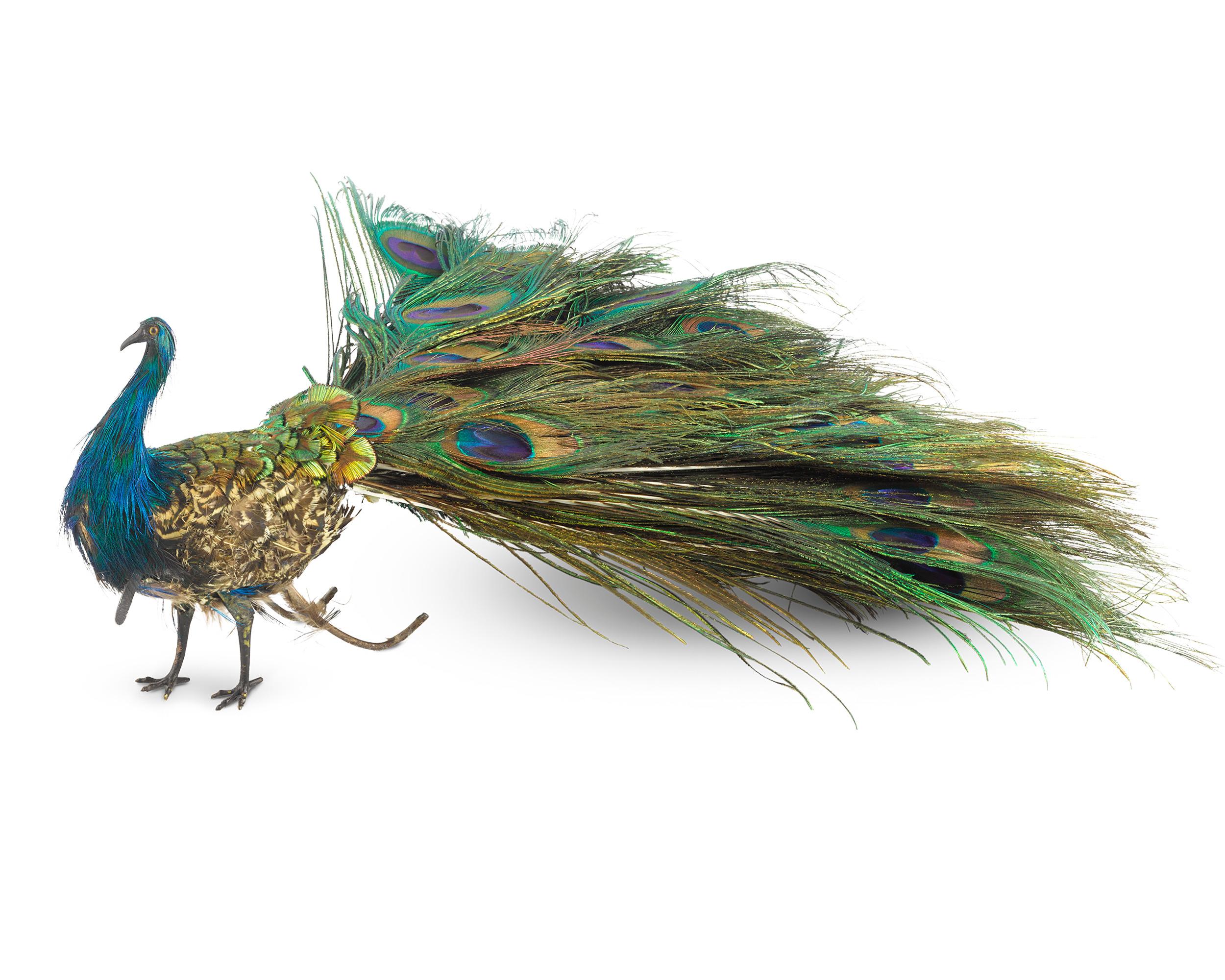 peacock automaton for sale