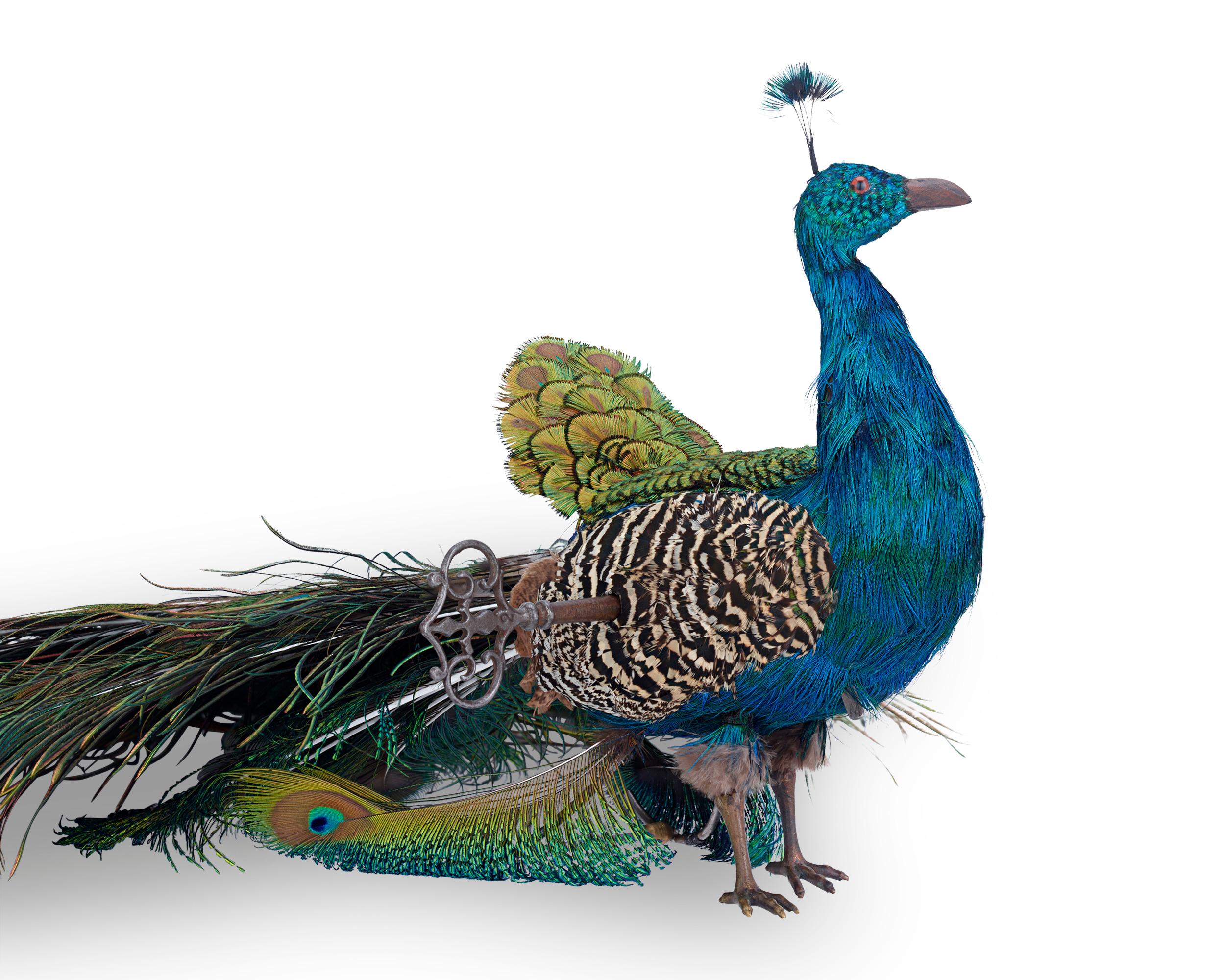 automaton peacock
