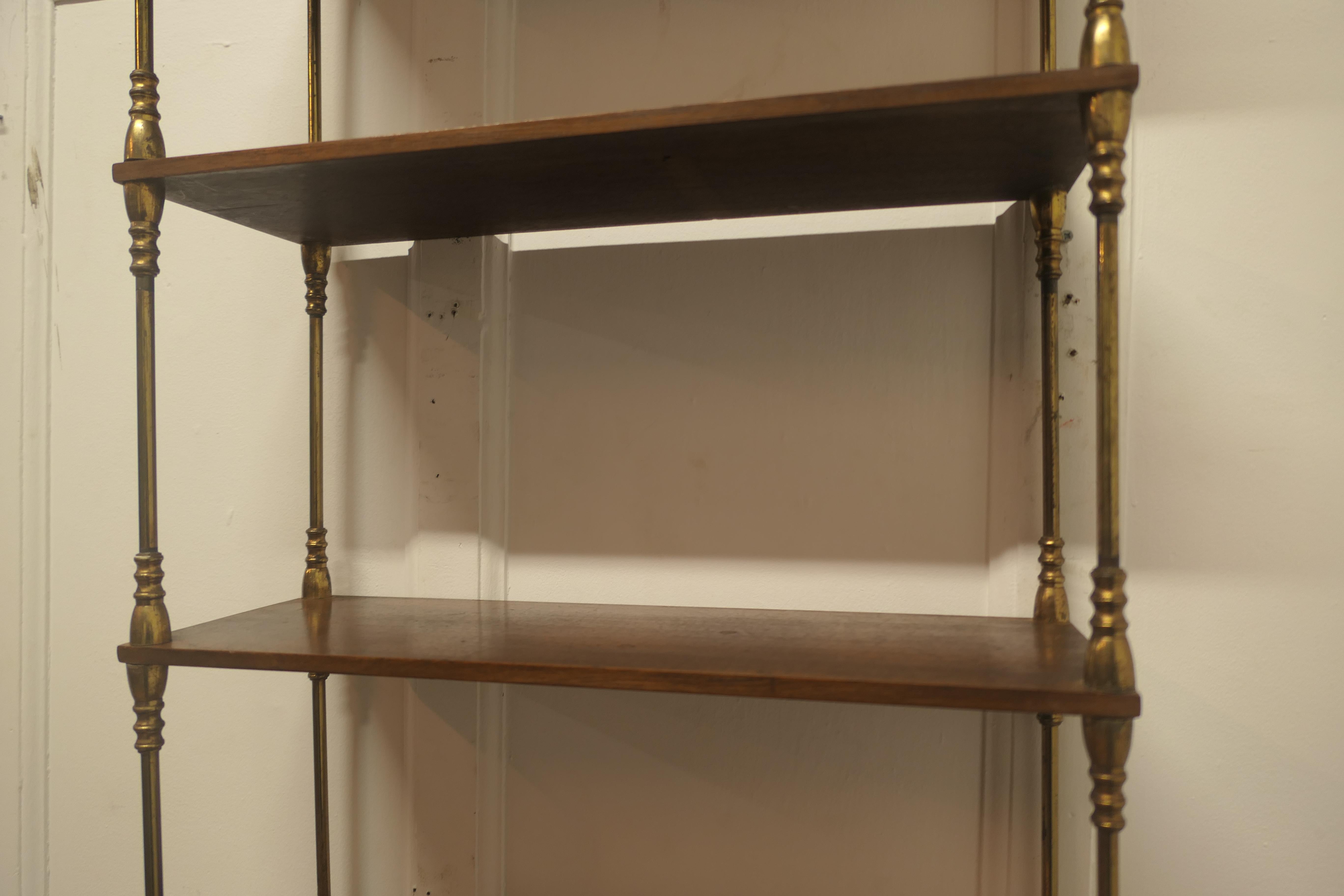 French Walnut and Brass Open Shelf  Unit 3