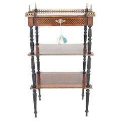 French Whatnot Bookshelf Side Table Antique 1900