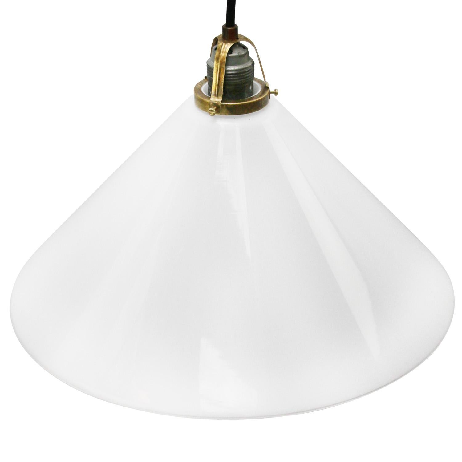 french glass pendant lights