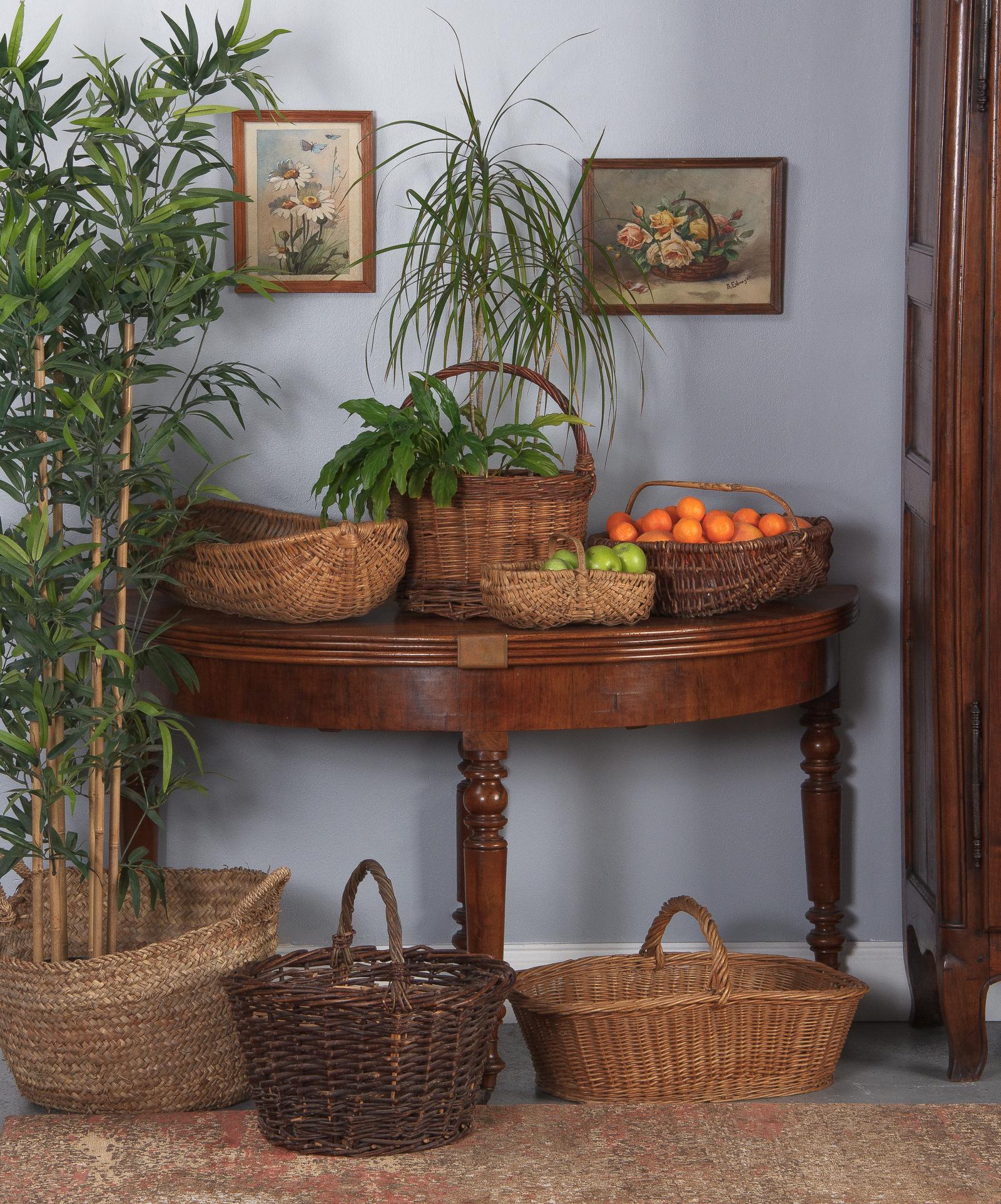 A handwoven wicker basket with a bent wooden handle from Auvergne Region in central France.