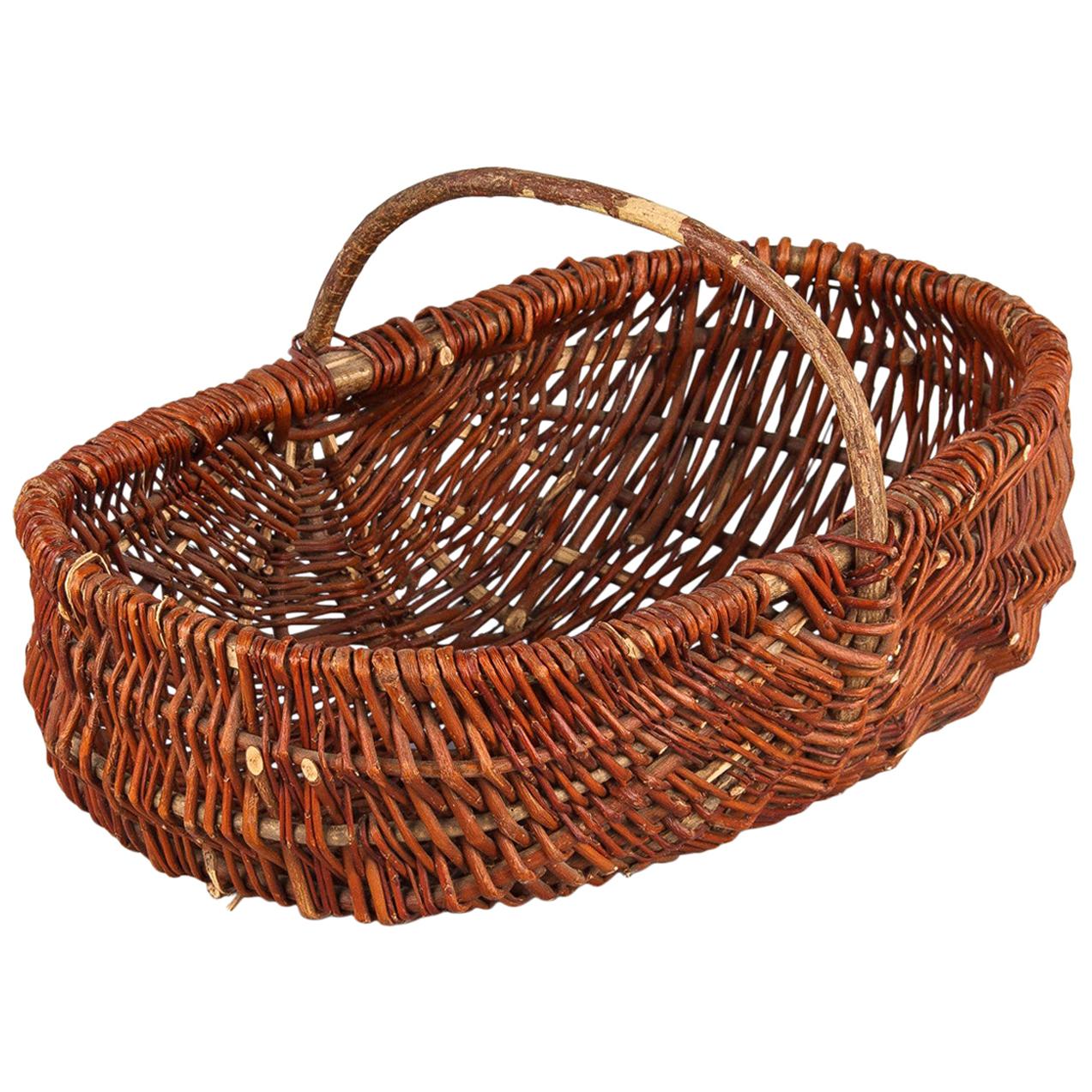 French Wicker Basket from Auvergne Region, 20th Century