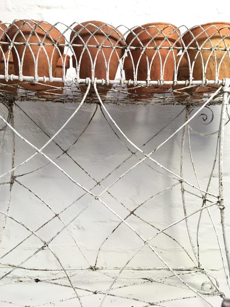 French Wire Plant Stand, Early 1900s 2