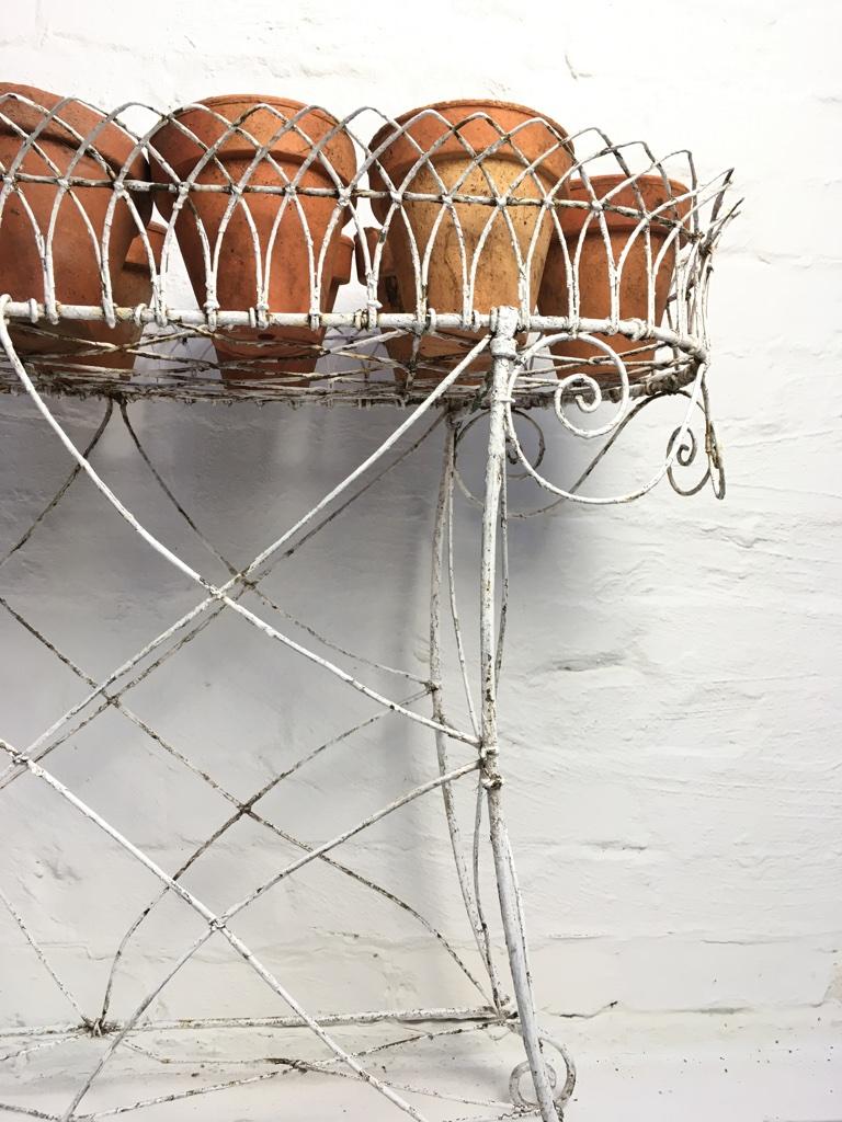 French Wire Plant Stand, Early 1900s 3