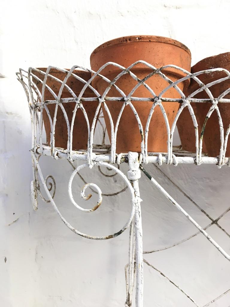 French Wire Plant Stand, Early 1900s 4