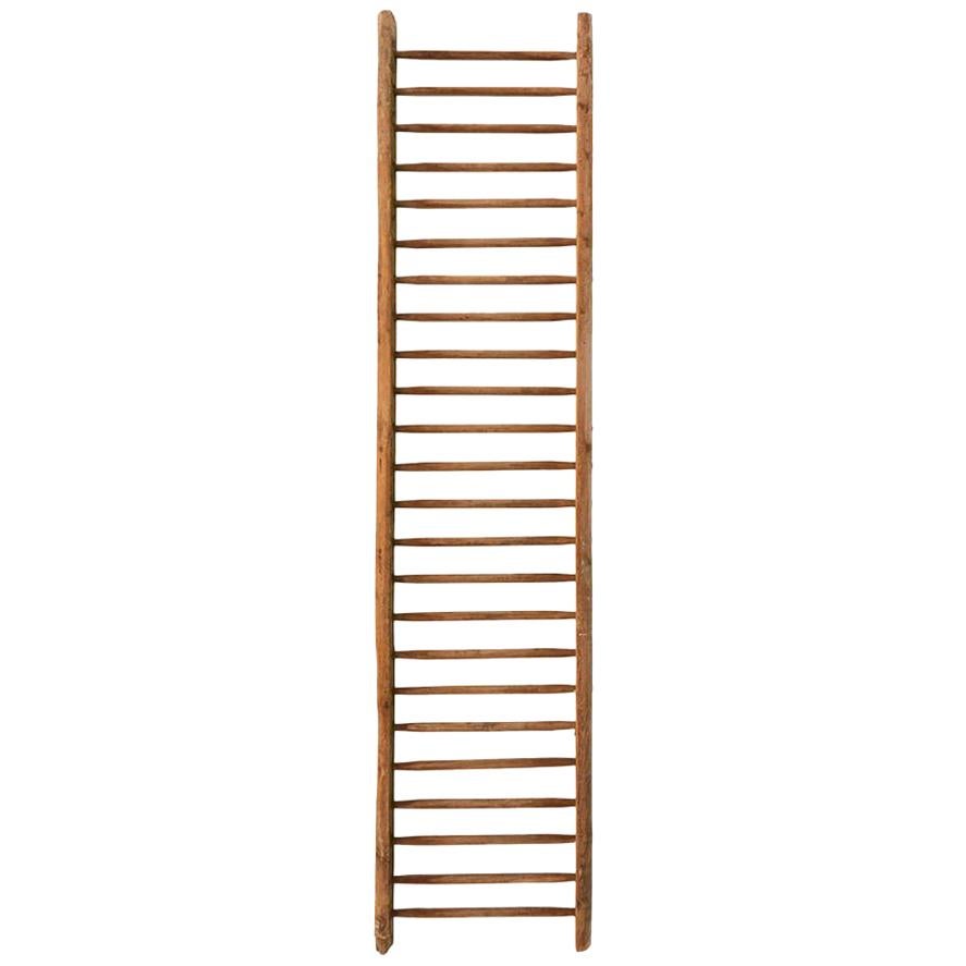 French Wooden Picking Ladder