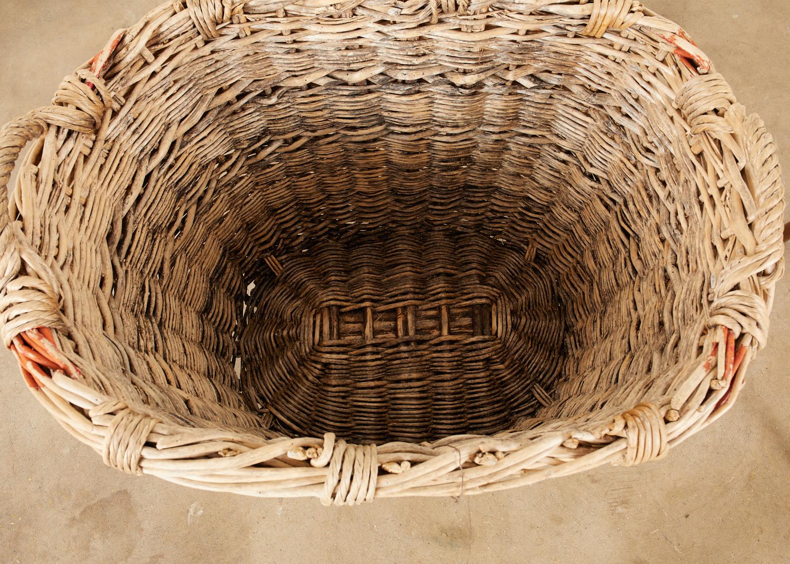 French Woven Wicker Champagne Grape Harvest Basket 4