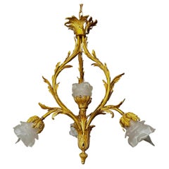 French XV Style Gilt bronze Rose Glass Pendant Chandelier