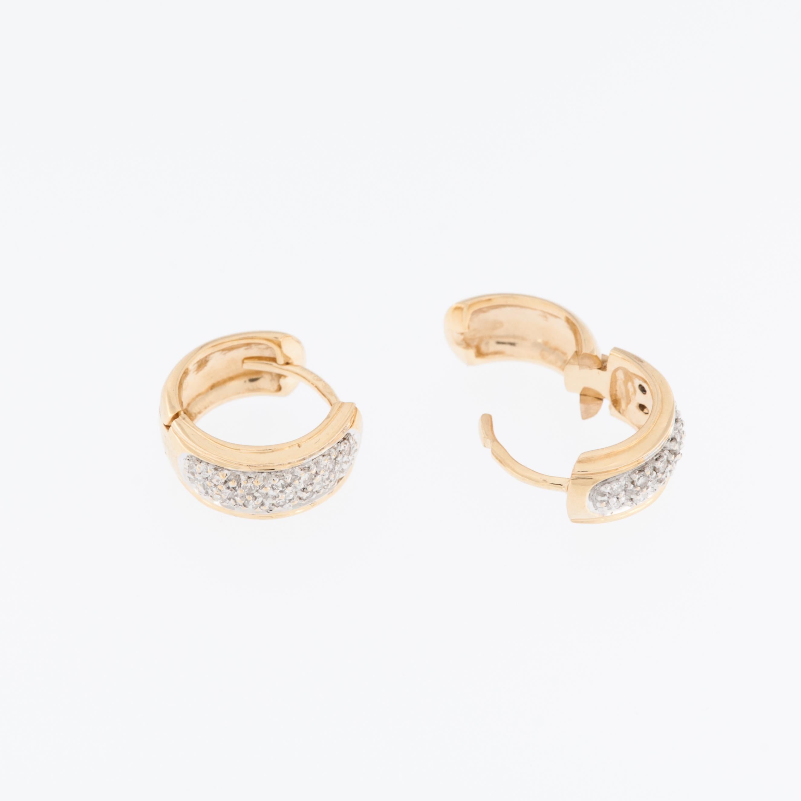 Gli orecchini francesi in oro giallo e bianco con diamanti sono un gioiello straordinario e lussuoso che combina una squisita lavorazione artigianale con la brillantezza dei diamanti. 

Questi orecchini sono realizzati in un'armoniosa combinazione