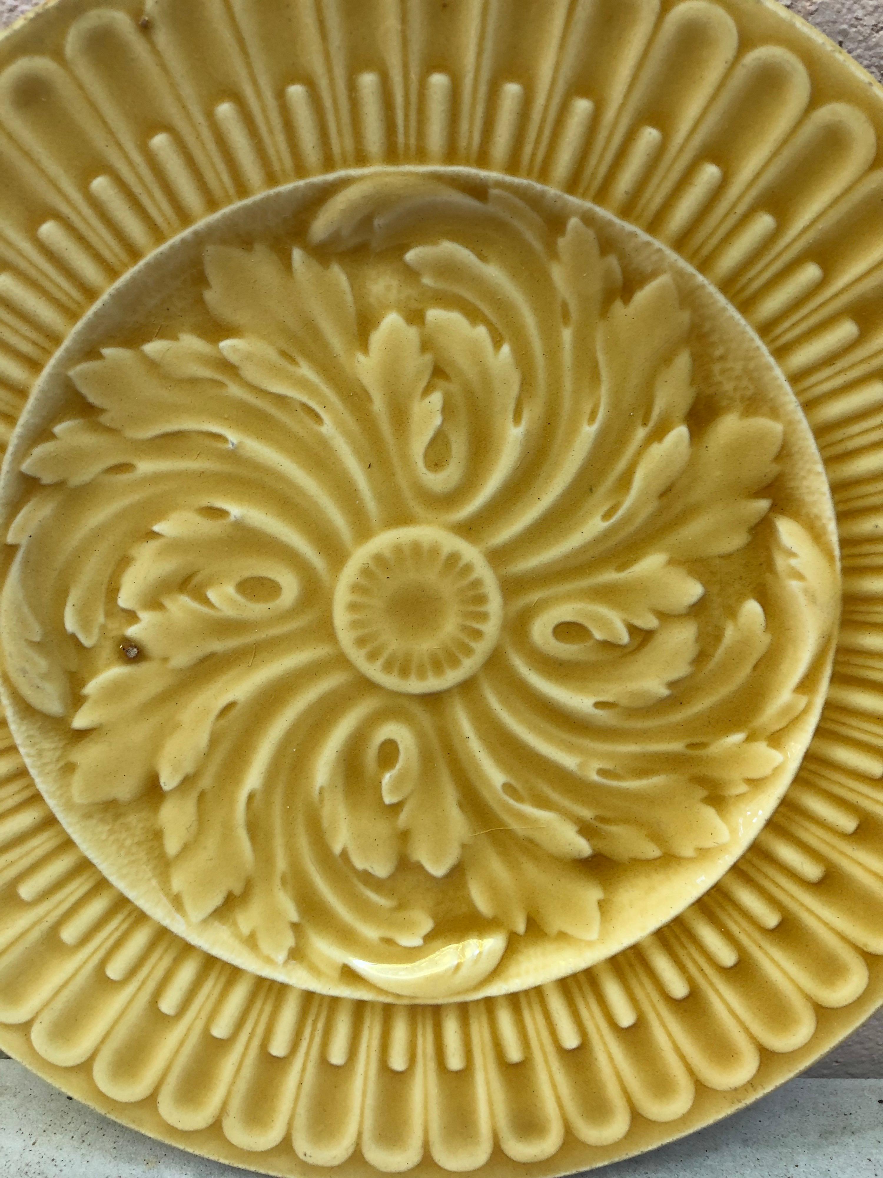 Country French Yellow Majolica Acanthus Plate, circa 1890