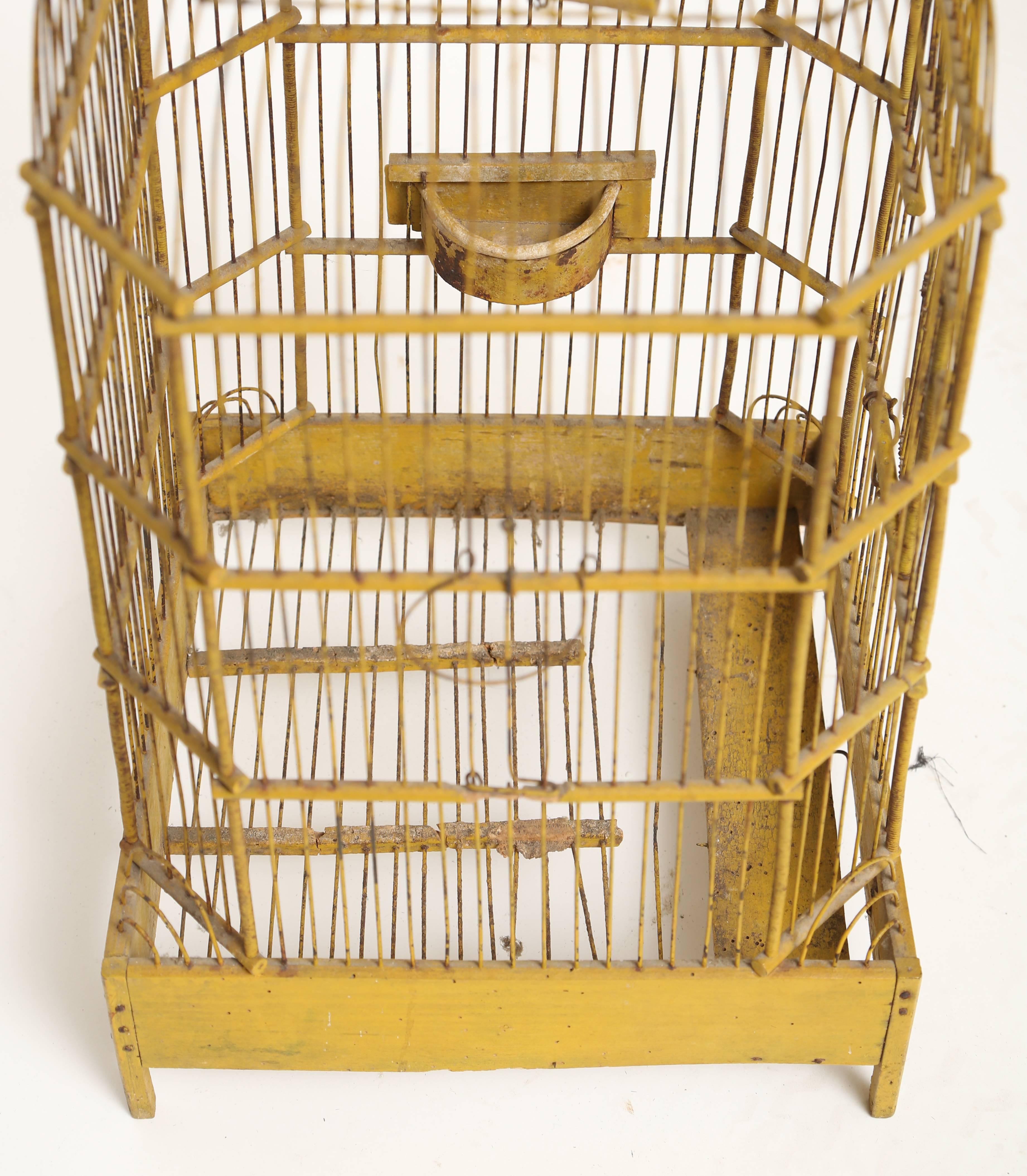 French Yellow Ochre Bird Cage 1