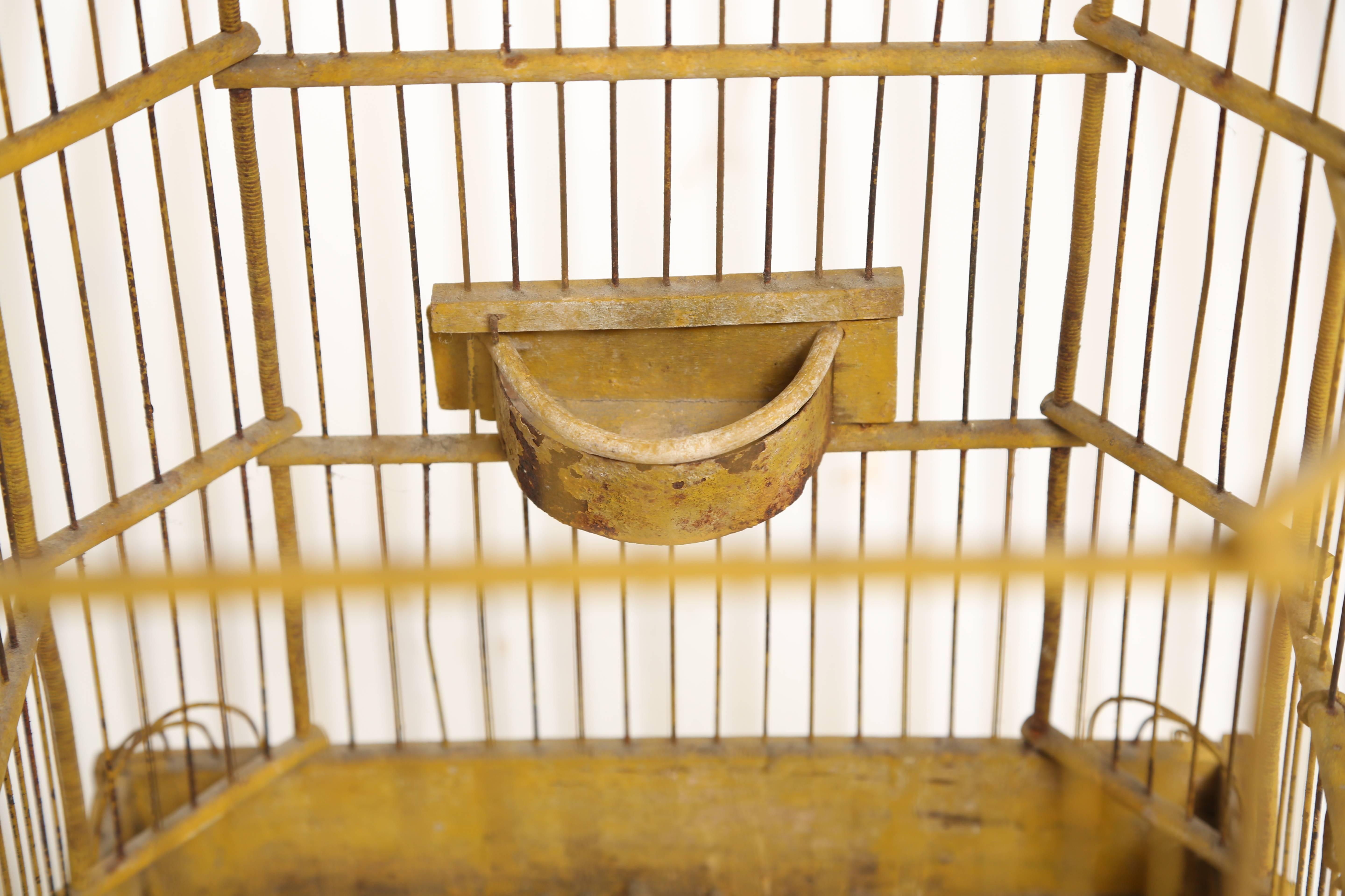 French Yellow Ochre Bird Cage 2