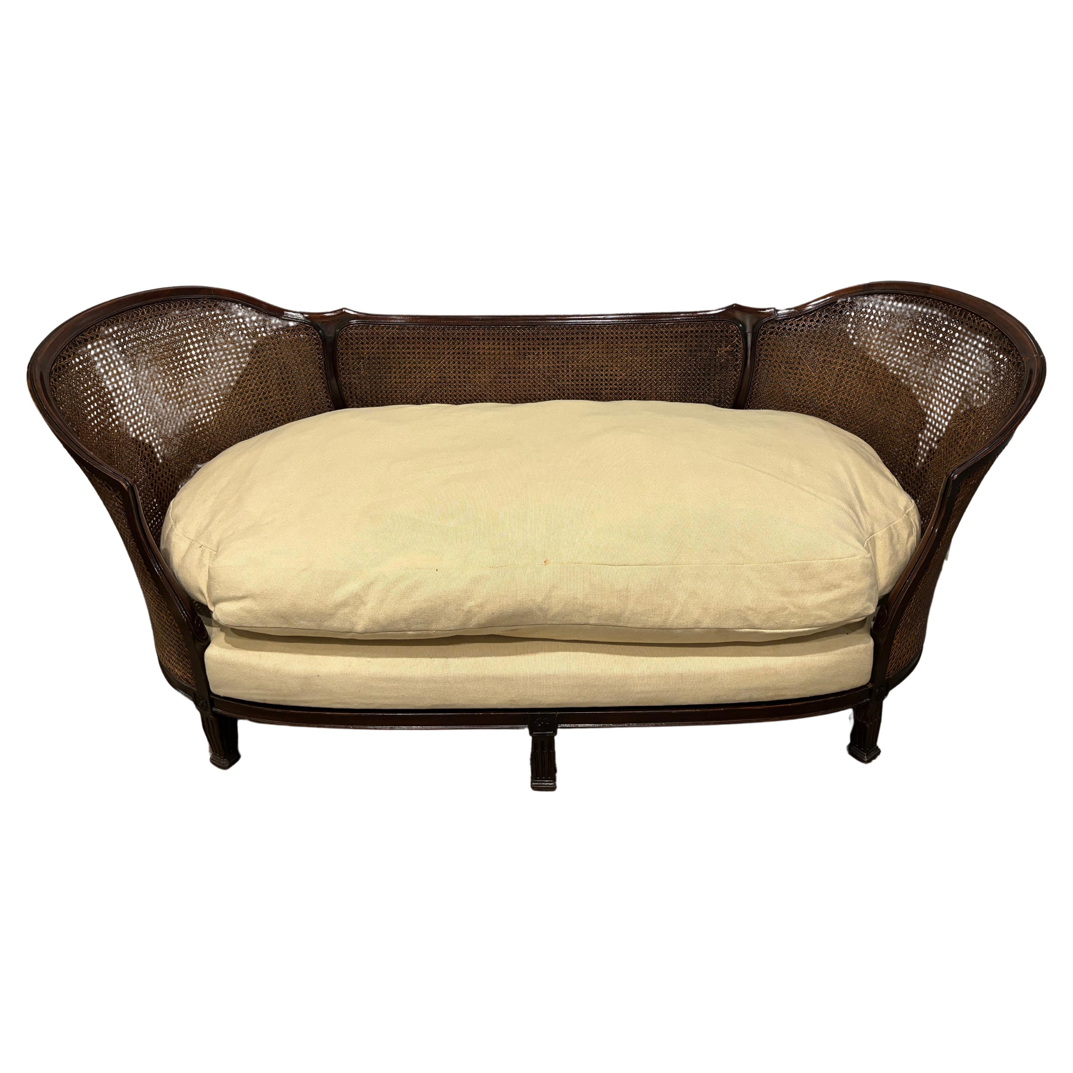 French 19th Century Double caned Settee