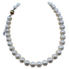 Fresh Water Cultured Pearl 16" Necklace