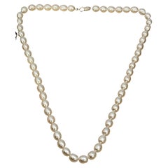 Fresh Water Elongated Pearl Single Strand Necklace, Silver Clasp