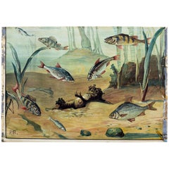 Fresh Water Fish, Vintage Wall Chart