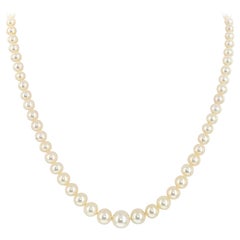 Freshwater Graduated Cultured Pearl Necklace with 14K Gold Clasp