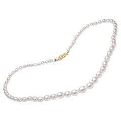 Freshwater Pearl Necklace