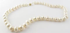 Freshwater Pearl Necklace with 14 Karat Yellow Gold Closure