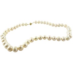 Freshwater Pearl Necklace with 14 Karat Yellow Gold Closure